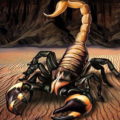 Максим Игнатченко