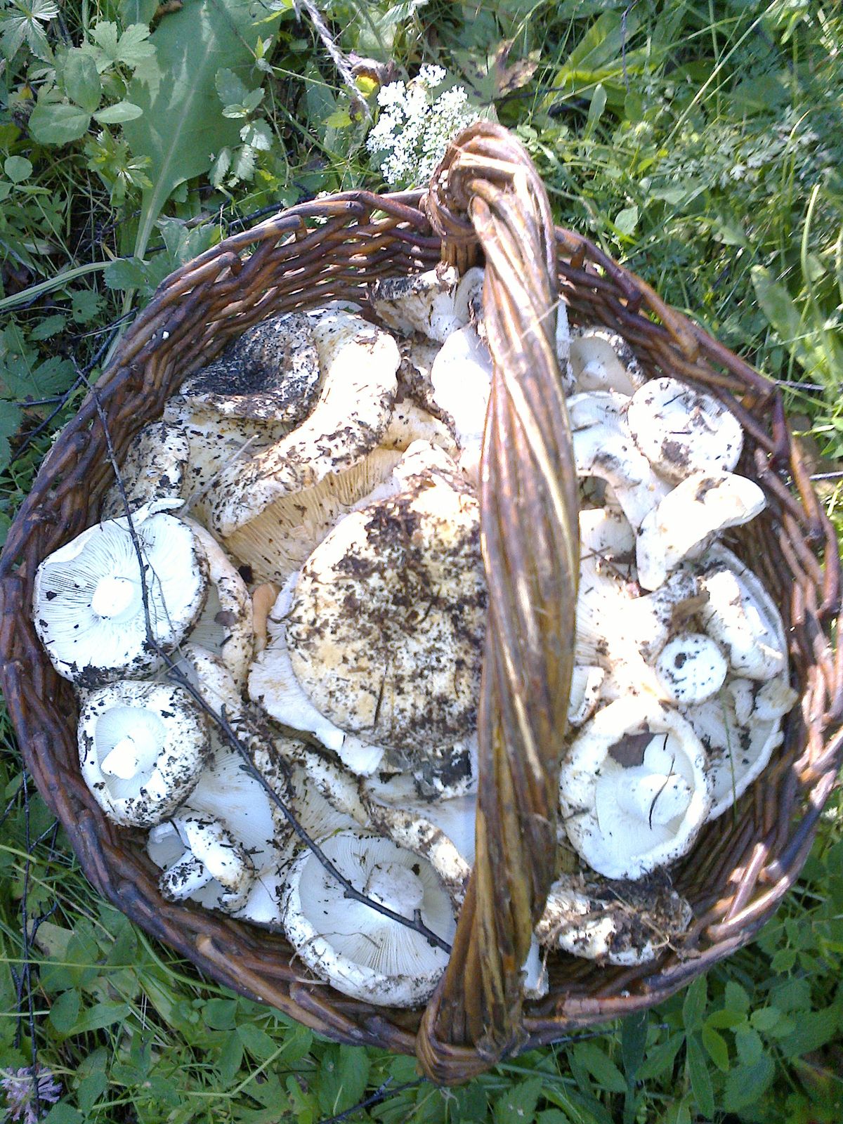 Екатерина Не Важно