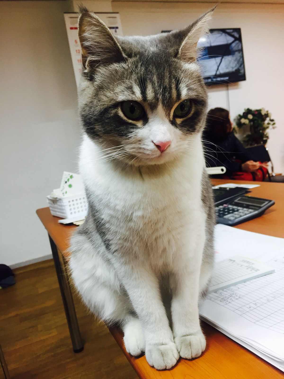 Prosta Bek Srojdinov