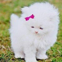 Юля Гаврилова