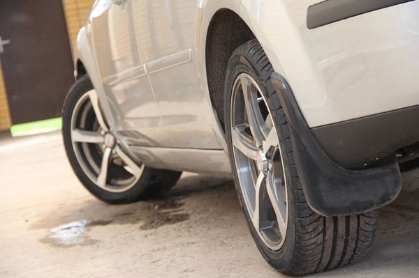 Николай Куц