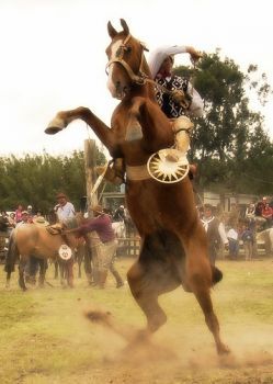 Танат Султангазиев