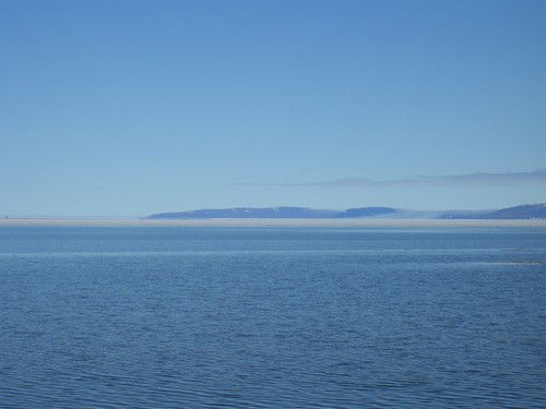 Ольга Шилова