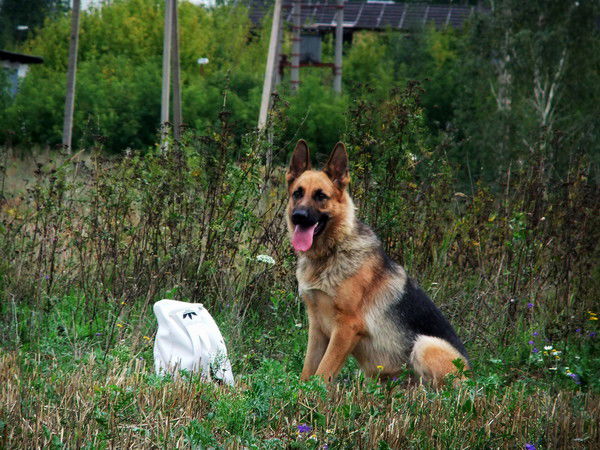 Настя Мохначёва