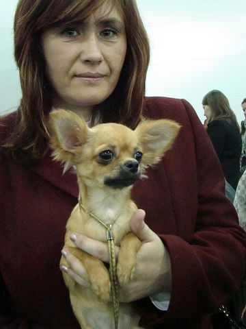 Татьяна Матвеева