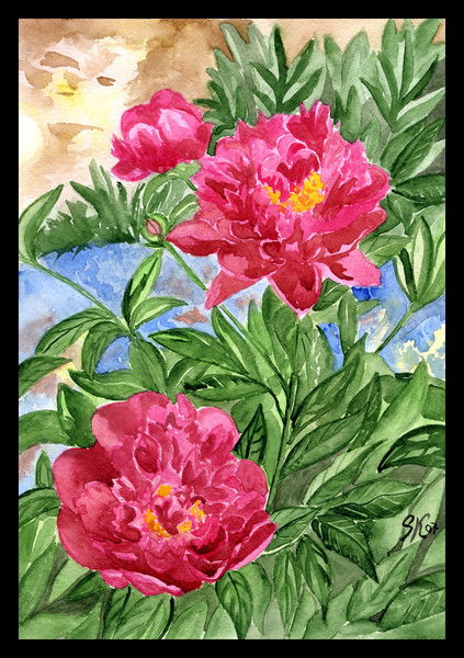 Радина Таразова