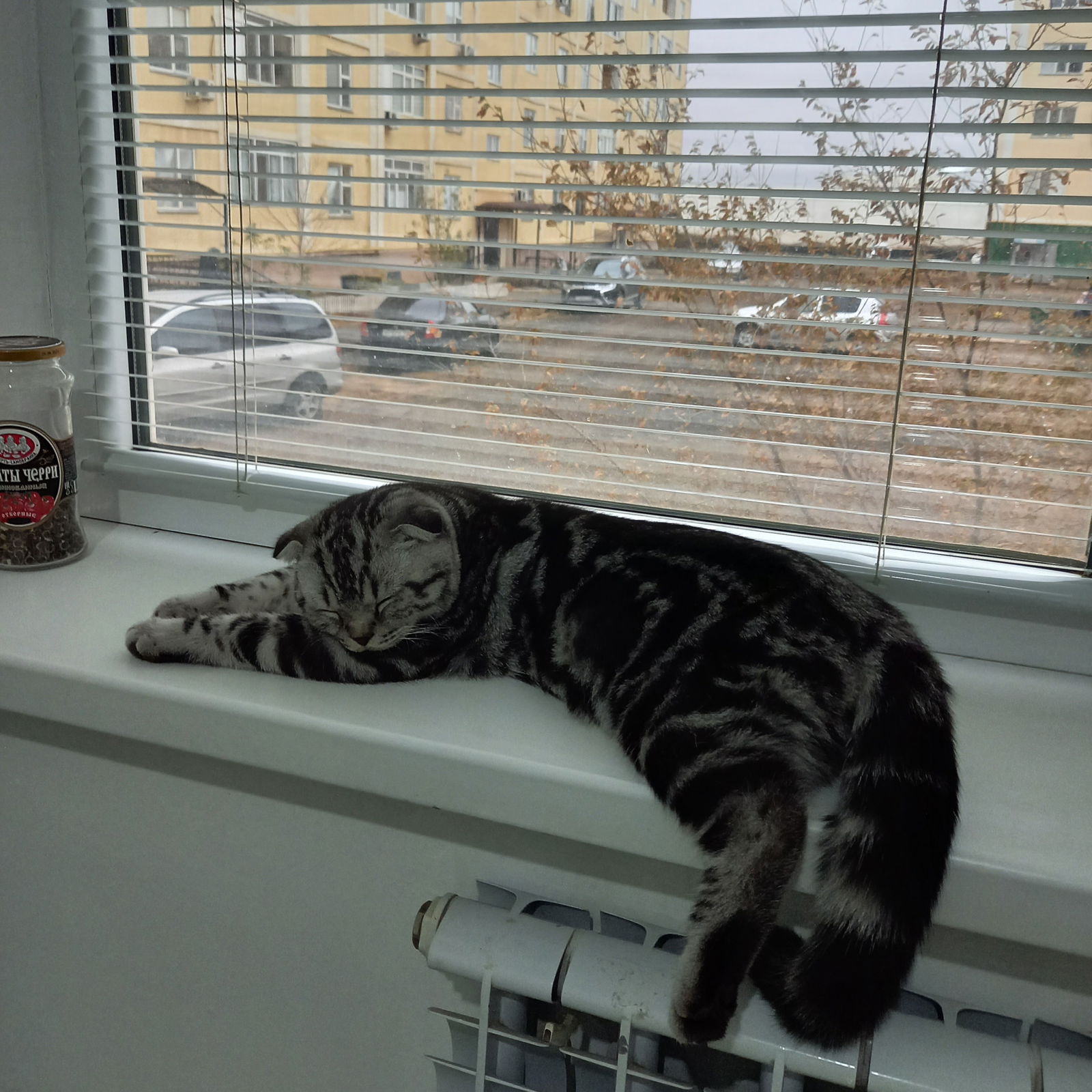 Жарас Мусин