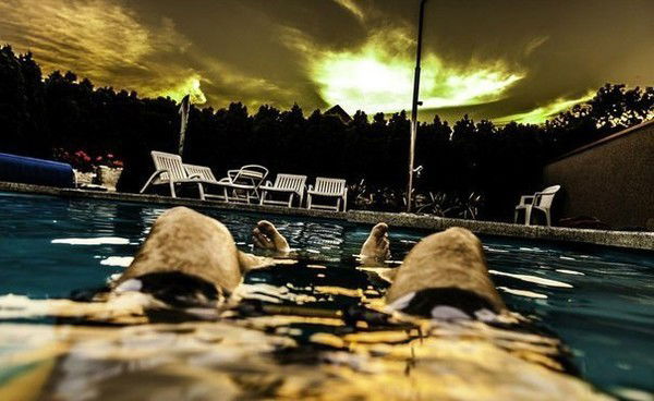 Дмитрий Репьёв