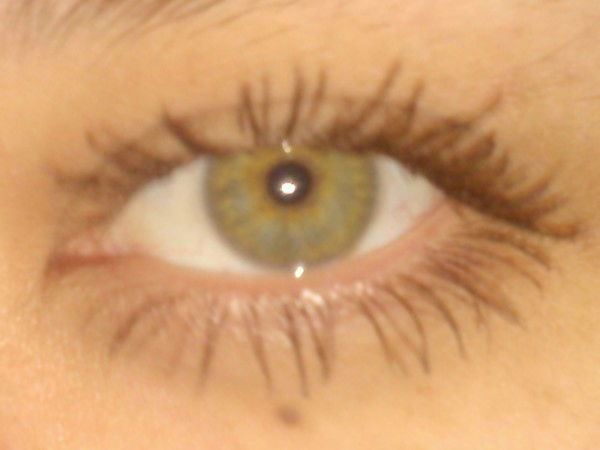 Елена Рогочия