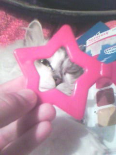 Дарья Павлюхина