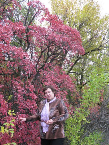 Ольга Васильева