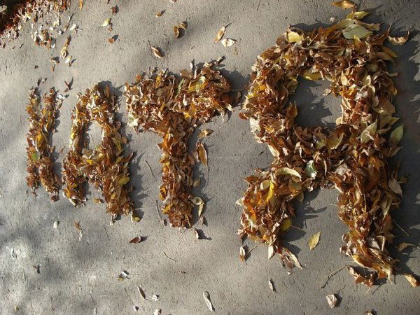 Екатерина Кононова