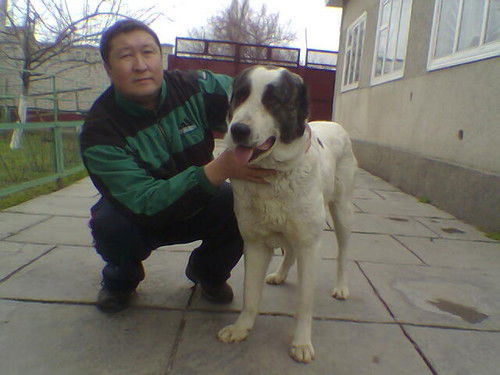 Тургумбек Альтаев