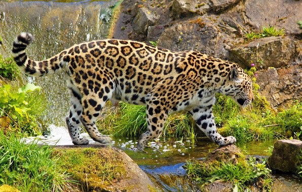 Насиба Сидикова