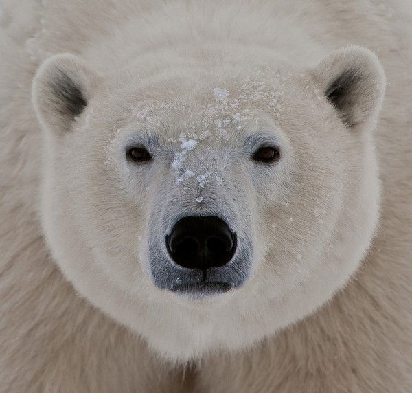 Михаил Крутин