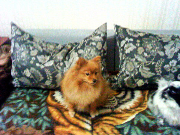 Наталья Мочалова