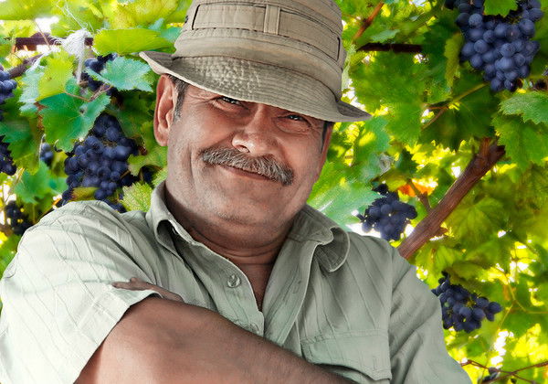 Александр Пономарёв