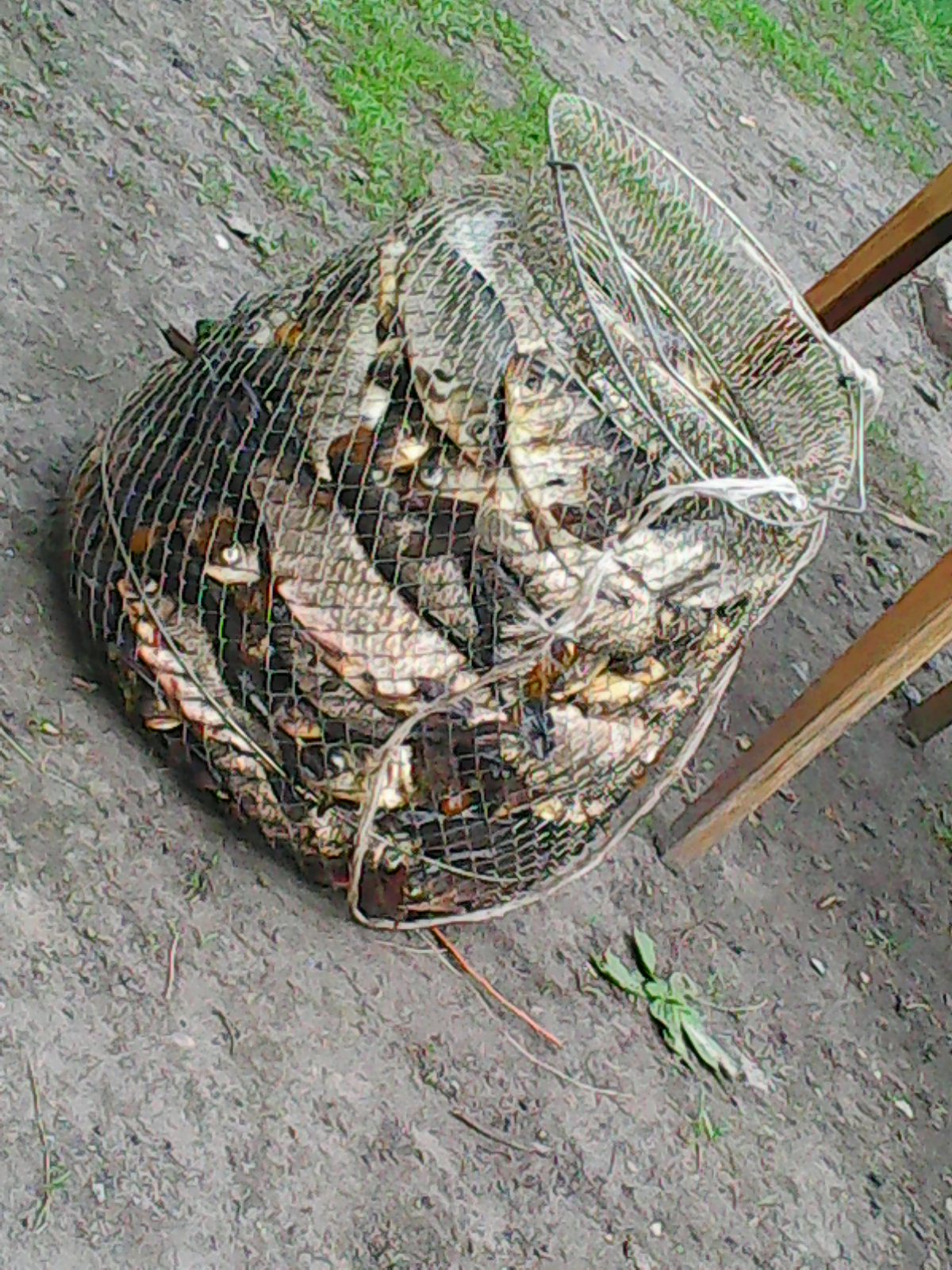 Cерёга Уварин