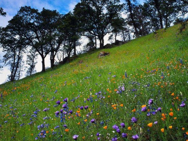 Мамура Хайдарова