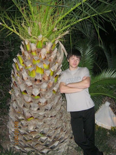 Сергей Ткачёв