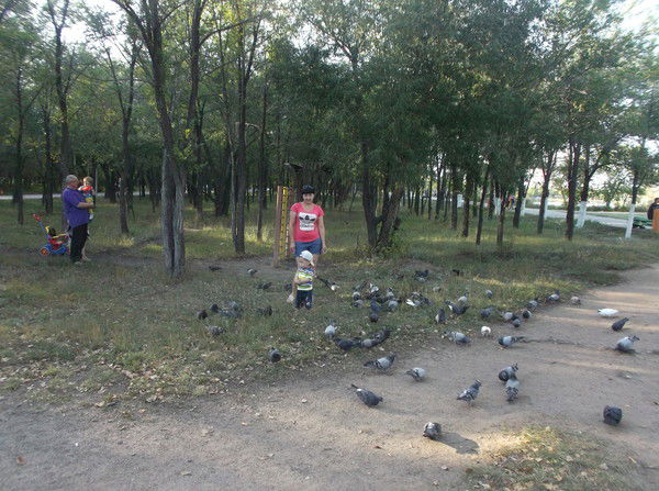 Раушан Рахметова