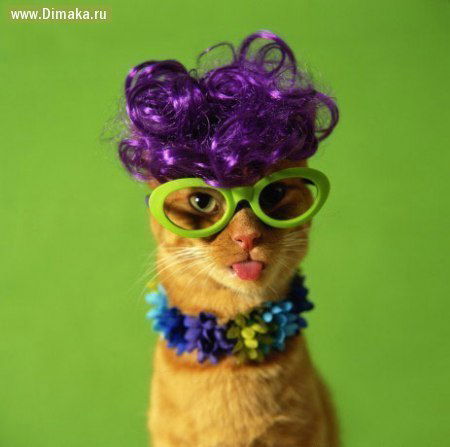 Виктори ... Я