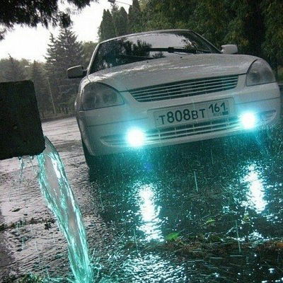 Максим Логунов