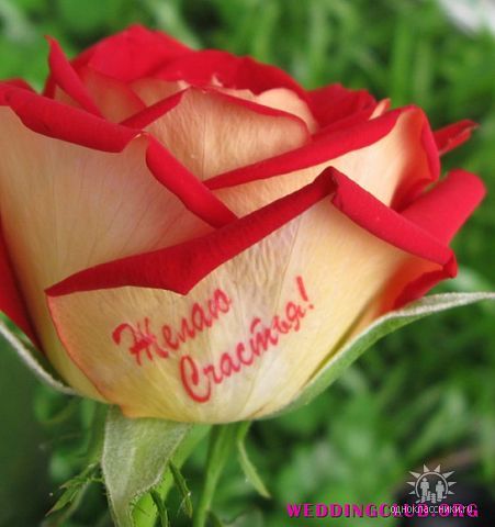 Валентина Малиновская