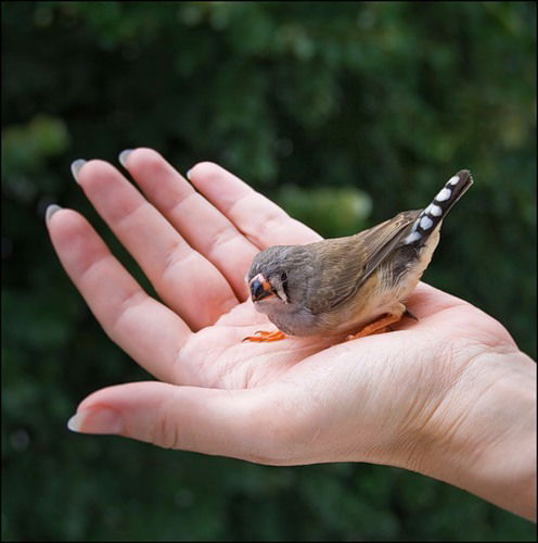 Альберт Усманов