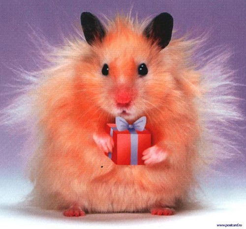 Евгения Богровская