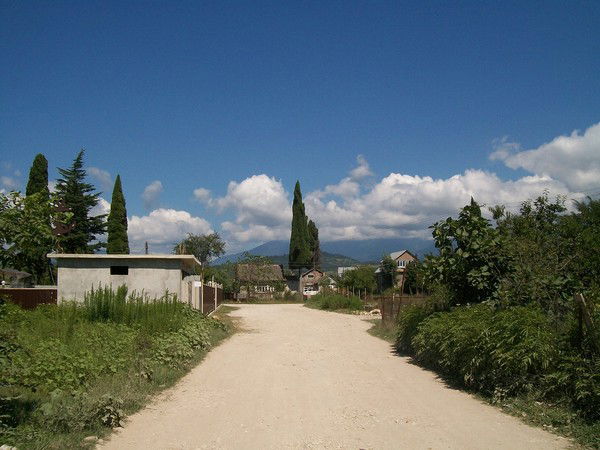 Елена Репникова