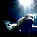 Ярослав Михайлов