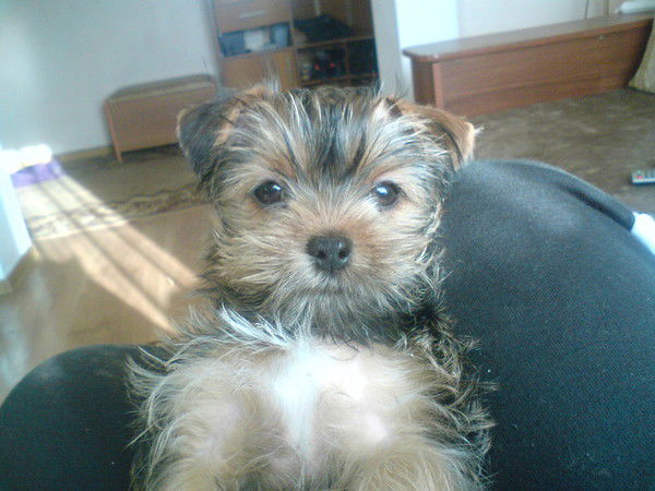 Елена Панченко