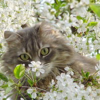 Мария Куликова