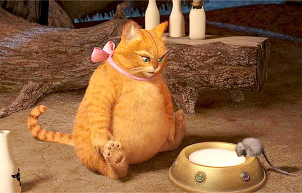 Саяд Кардашова