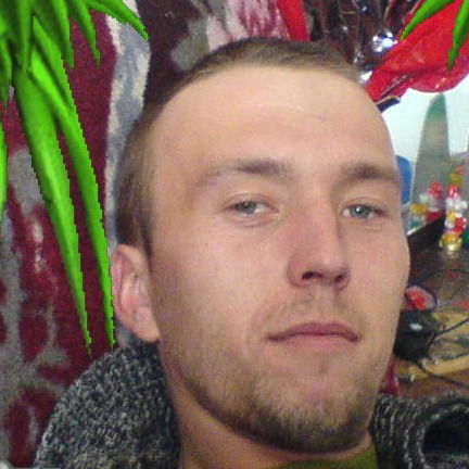 Дима Цыганков