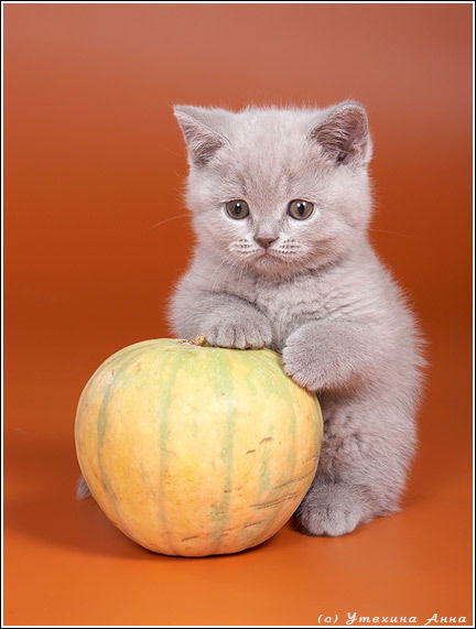 Аня Клементьева