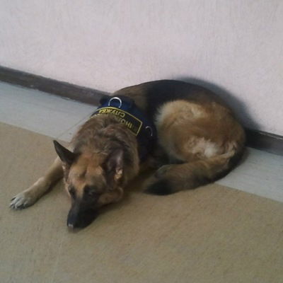 Наталья Горячих