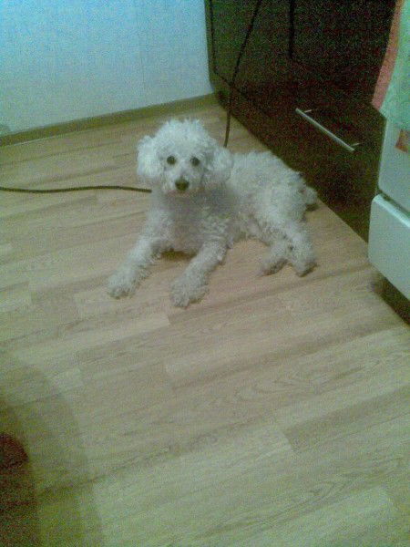 Евгения Парамонова