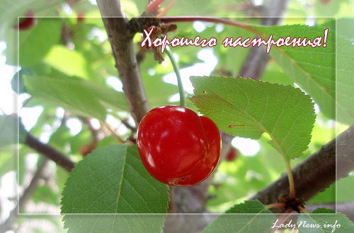 Дмитрий Ванин