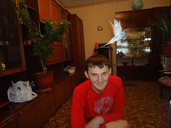 Александр Федорченко