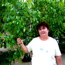 Любовь Кудряшова