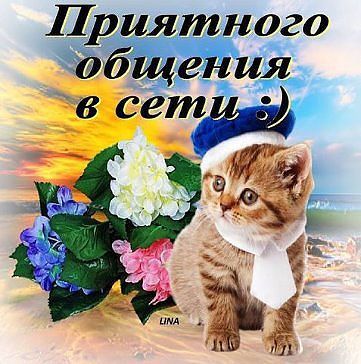 Алина Луценко