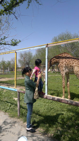 Мадина Юсупова