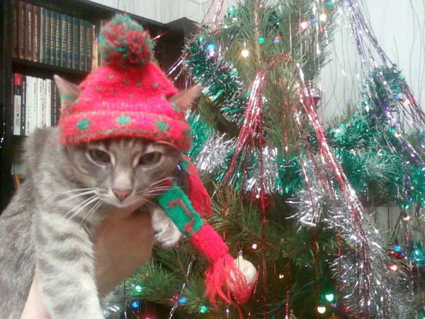 Анатолий Брюханов