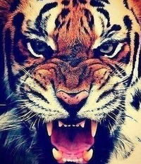 Давит Испирян