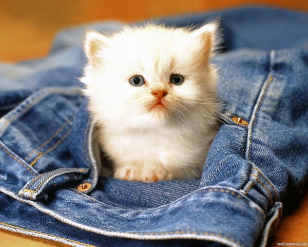 Анастасия Сергеевна