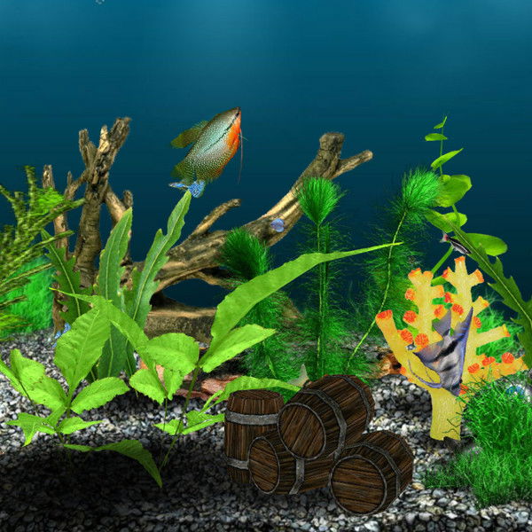 Николай Валов