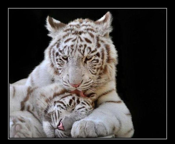 Сымбат Минбаева