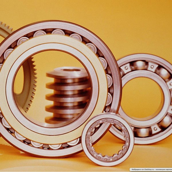 Шамиль Гайсин